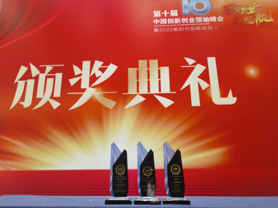 第十届创新创业领袖峰会成功举办，大人集团CEO侯艳丽获评年度