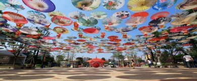 2023江油圣名国际购物广场辛夷花旅游美食节来啦！！！