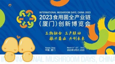 回归鹭岛，筑梦未来——2023食用菌全产业链创新博览会即将开始