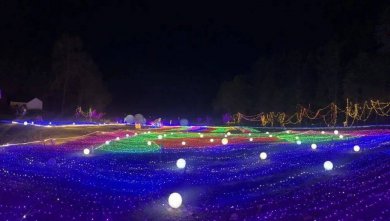 【8月8日】亚洲最大的红杉林奇幻灯光秀将盛大开幕！