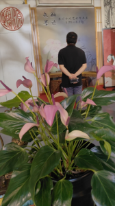 【大师展】窑火铸就的梦幻之旅 —— 李川“色墨釉语”作品展