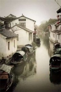 年度影响力女诗人：安娟英：小小无锡景（组诗）